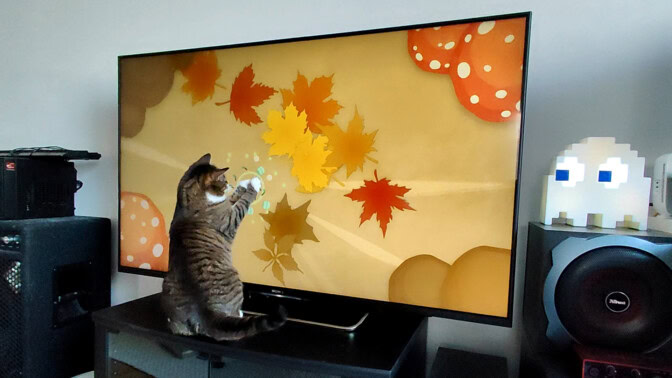 Play With Your Cat! - A Virtual Toy Box