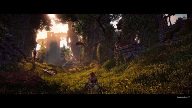 Horizon Zero Dawn