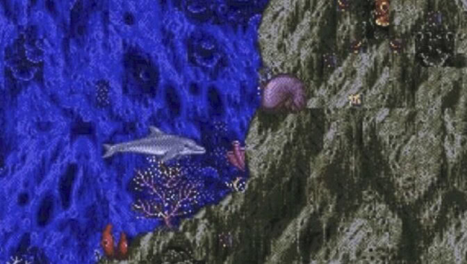 Ecco the Dolphin
