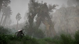 Crimson Desert lähestyy jo viittä miljoonaa myytyä kappaletta – studion johtajan mukaan Switch 2 -versio on harkinnassa