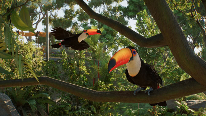 Planet Zoo 2:n julkaisupäivä vahvistui – tällä kertaa eläintarhoja elävöittävät vesipedot ja lentävät lajit